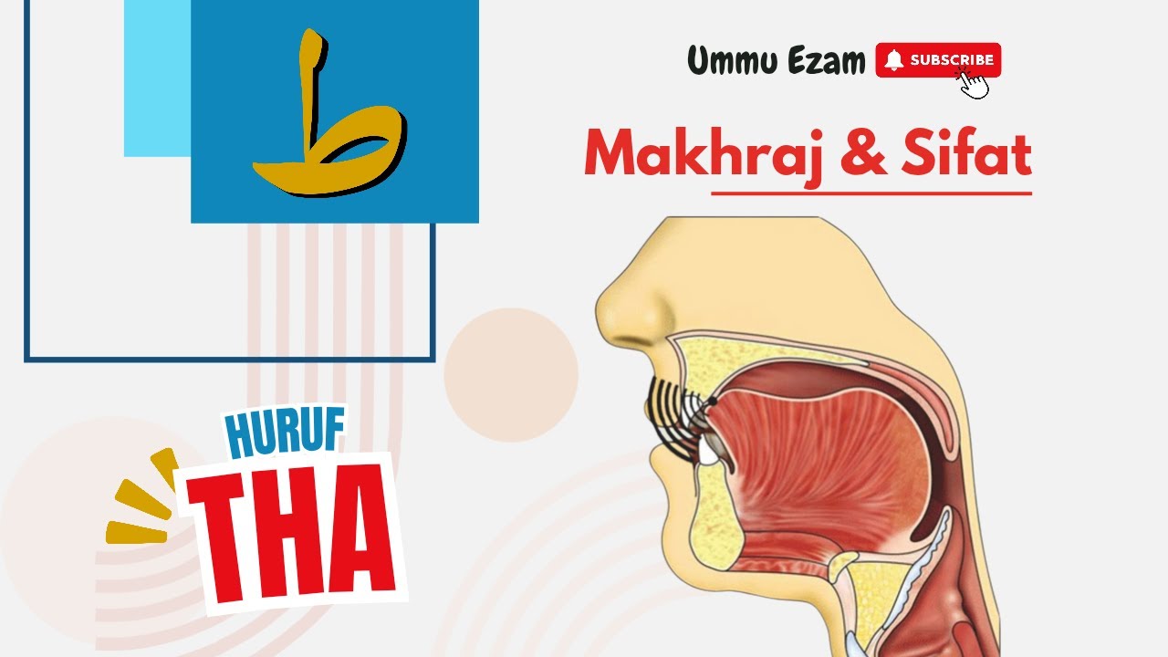 Makhraj Huruf Tha ط | #makhrajhuruf