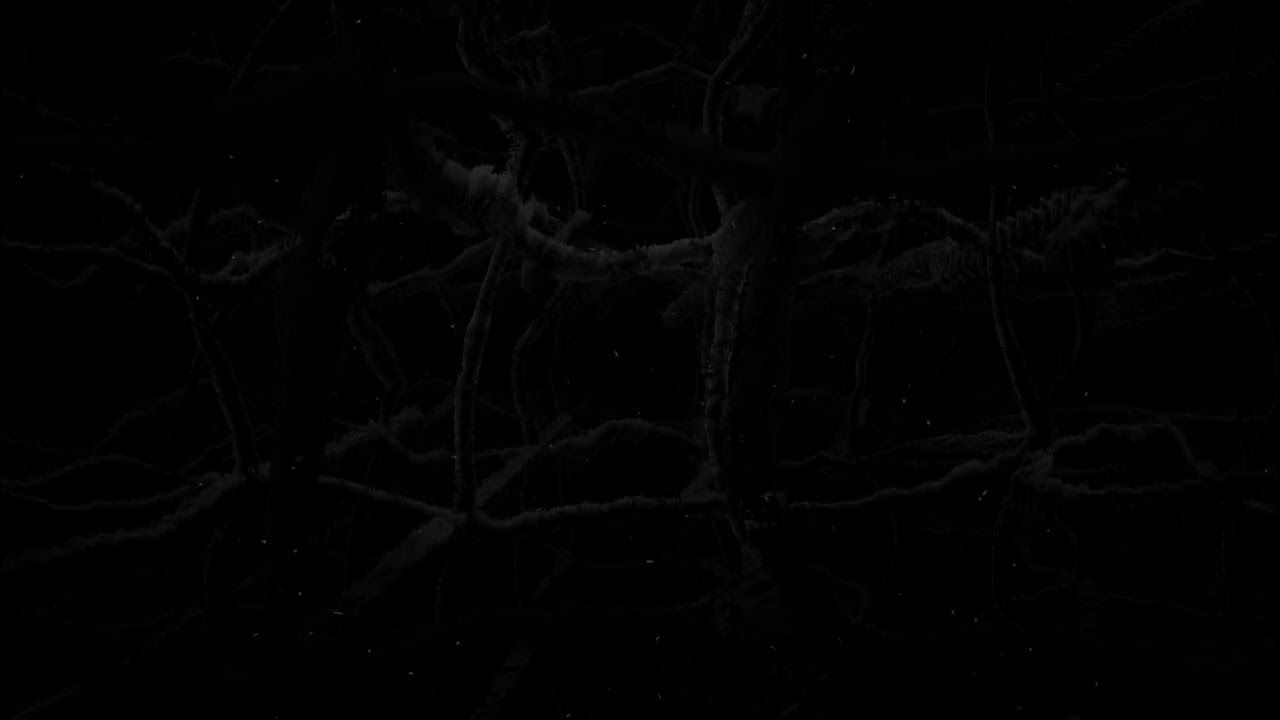 RainWorld Watcher Spoilers!:  Empty Abyss Ambience