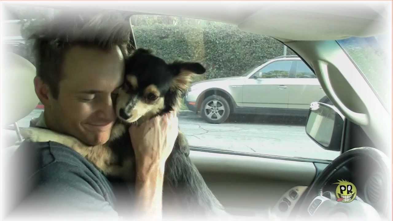 PUPPY WHO ACTUALLY GIVES HUGS!