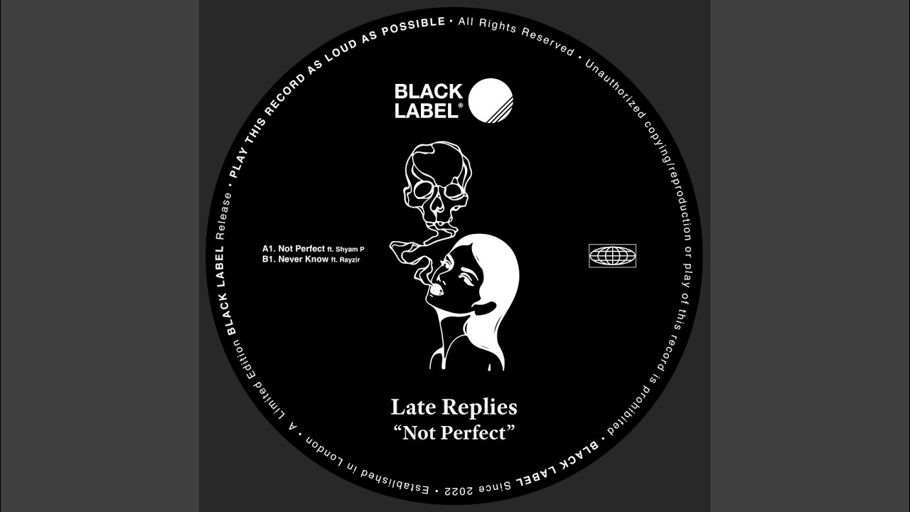 Not Perfect (Extended Mix)