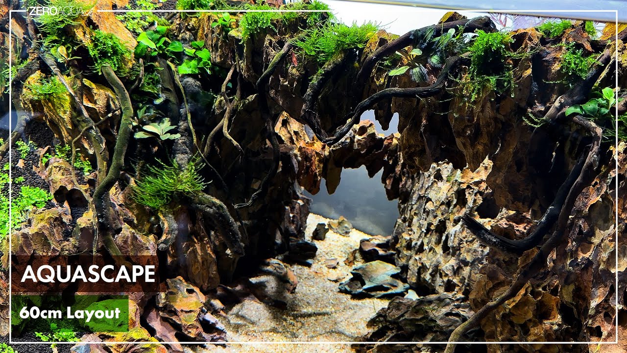 気孔石で橋をかけて水草を植えるまで　Aquascape / Aquarium / Hardscape / アクアリウム
