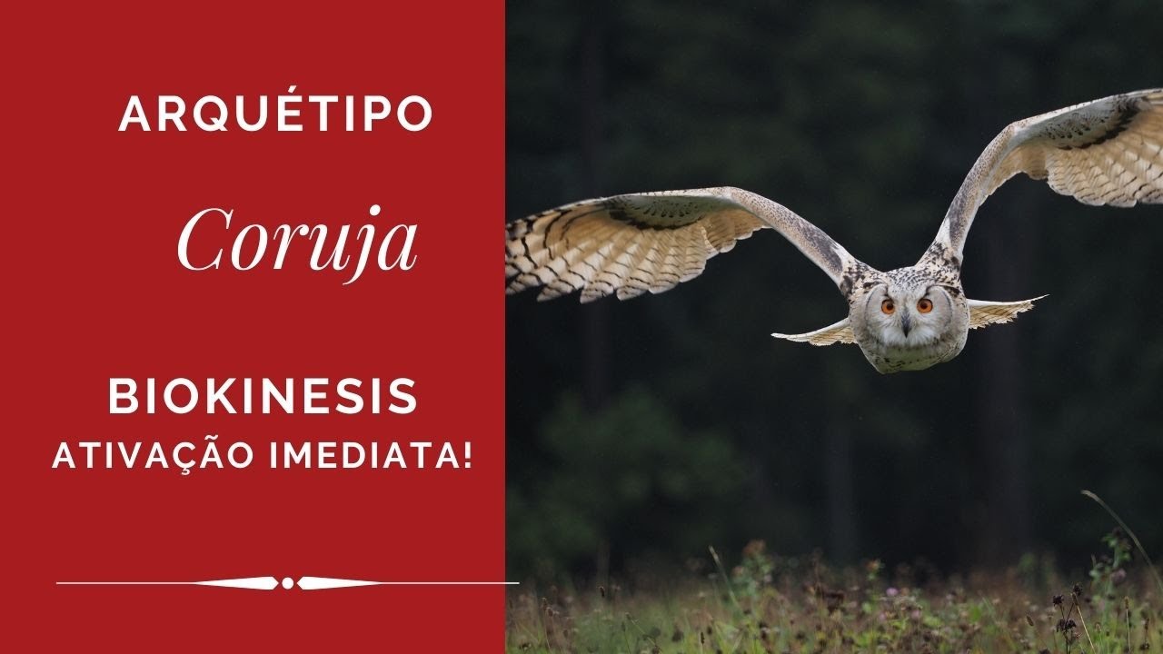 Coruja, Ativação, Biokinesis