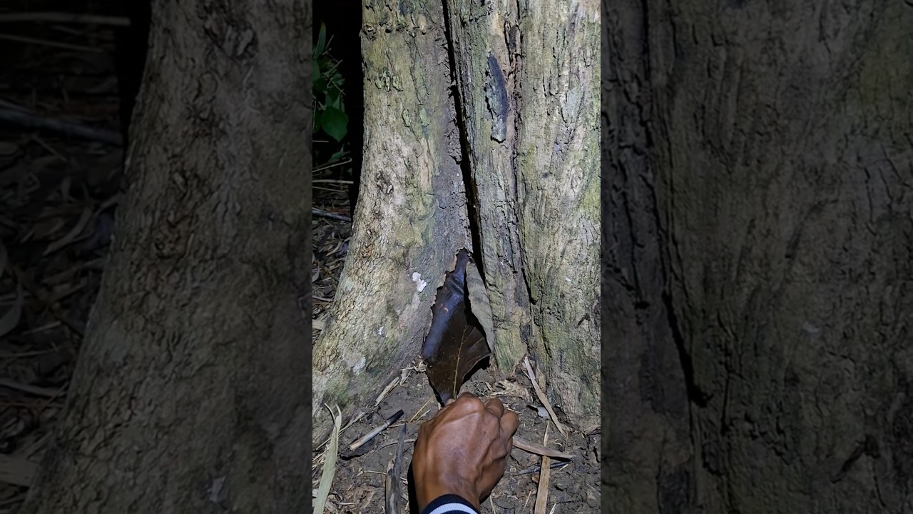 It looks like there's a strange animal behind the leaves #nature #funnyanimals #cuteanimals