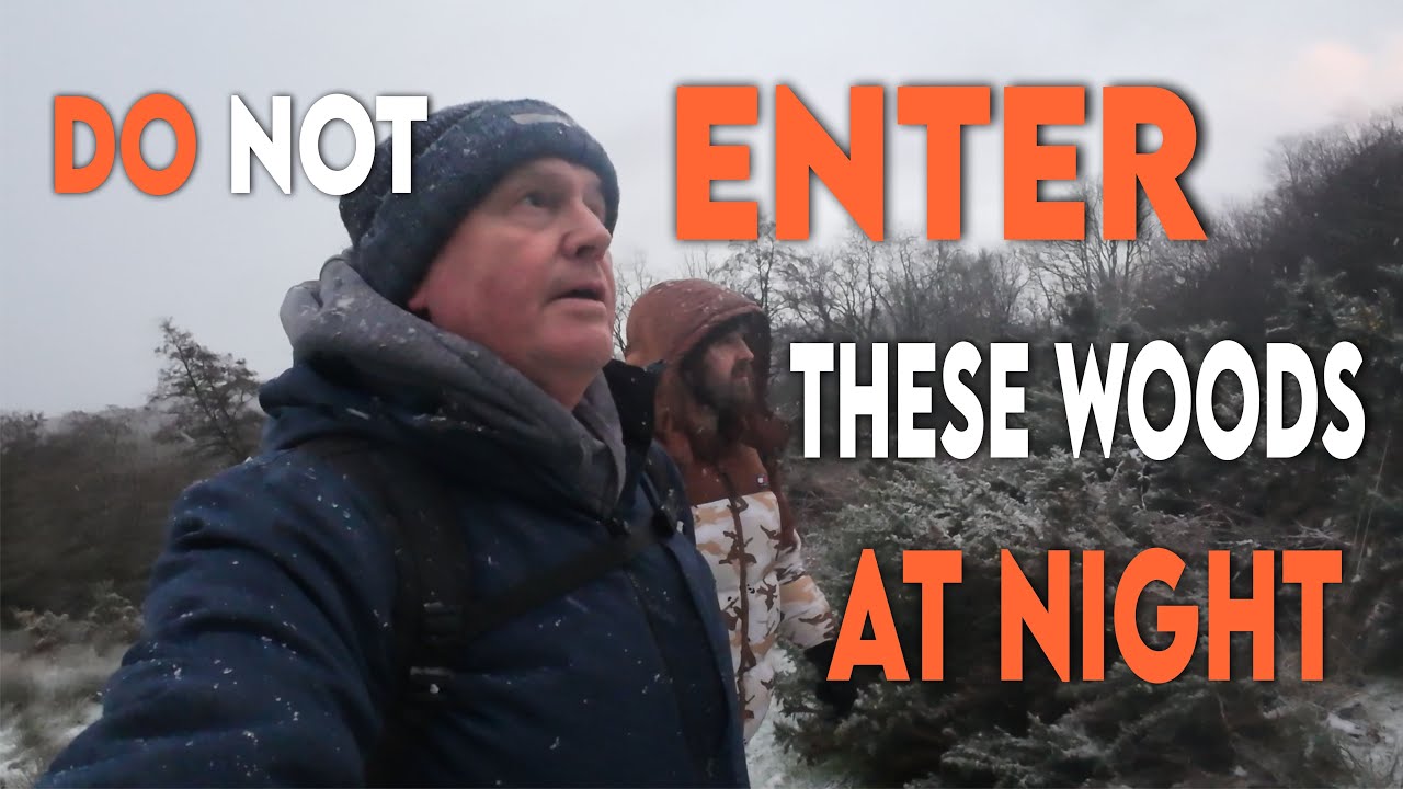 Do Not Enter These Woods at night