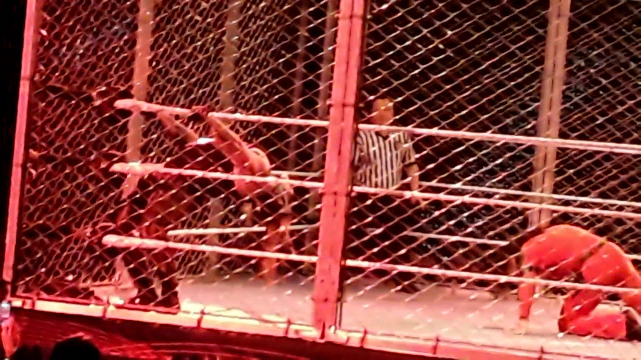 WWE Live Daytona Beach FL, Shinsuke Nakamura VS The Fiend Bray Wyatt