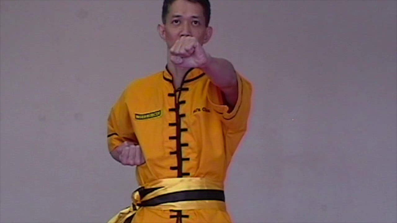 Wing Chun: Lesson 4
