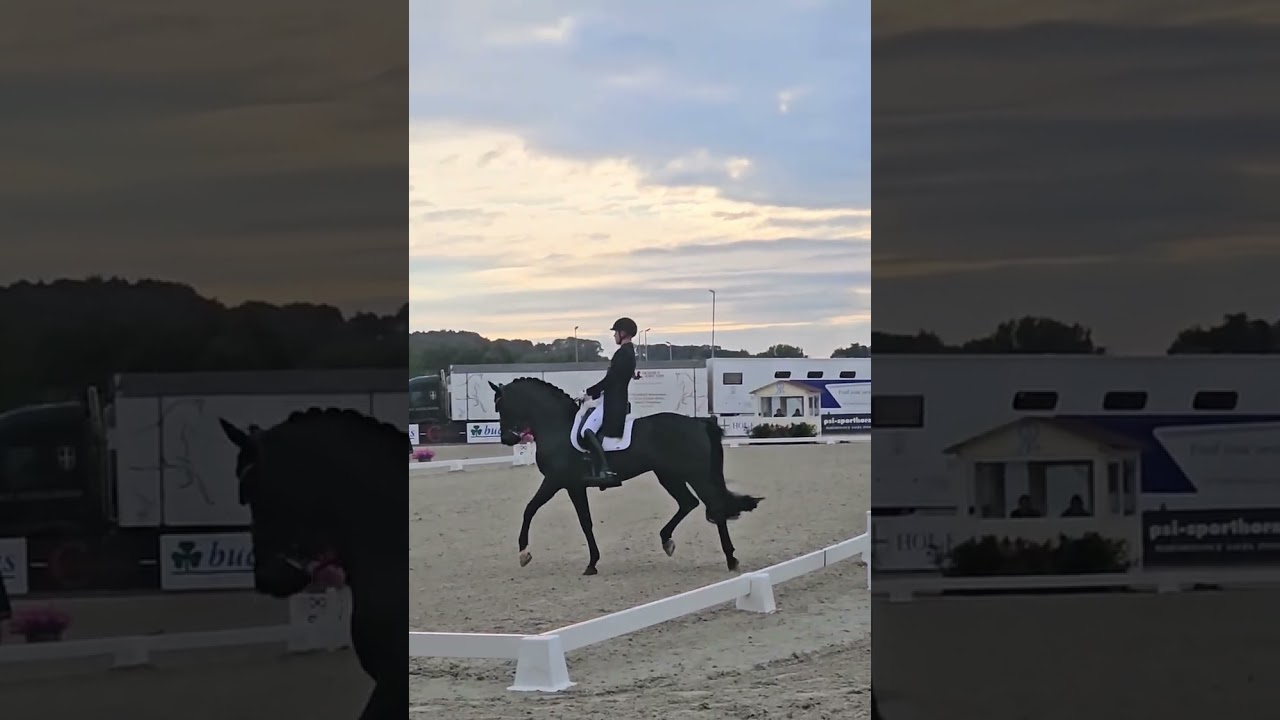 CADEAU NOIR & Moritz Treffinger - Einlaufpr&uuml;fung Finale Piaff F&ouml;rderpreis 2025 Hagen aTW