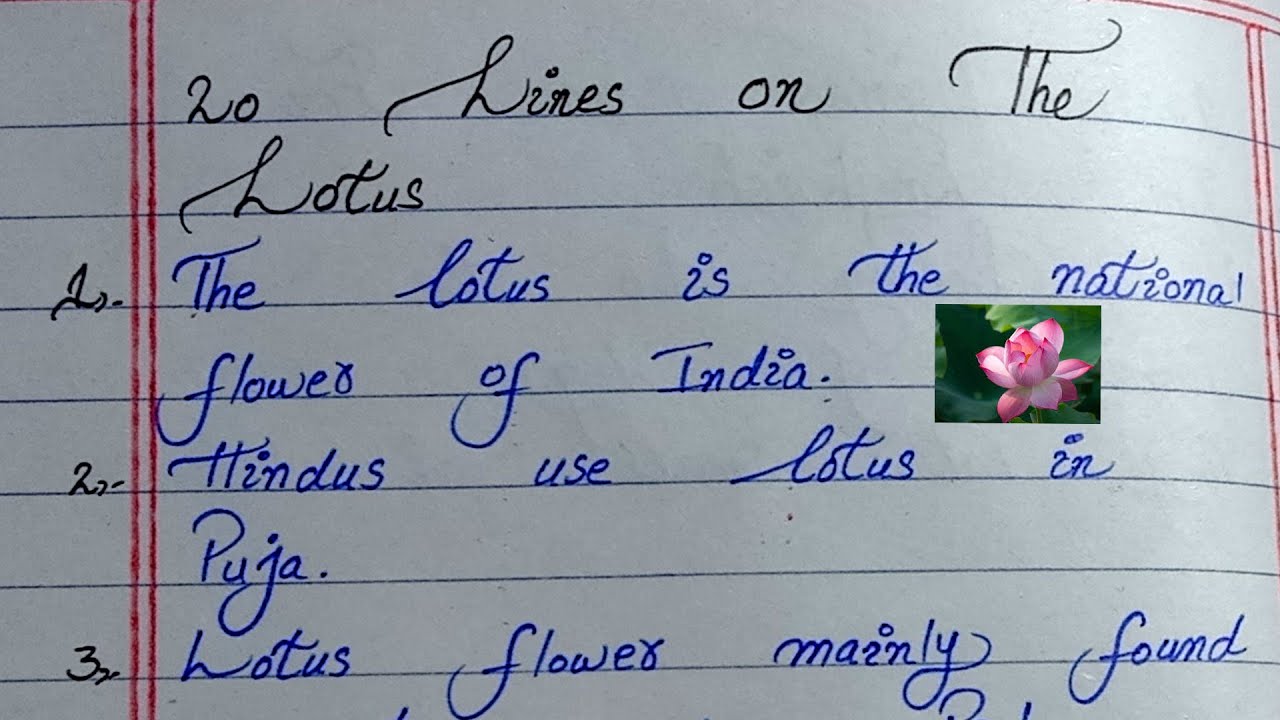 Essay on Lotus Flower | 20 lines on Lotus | SR Handwriting