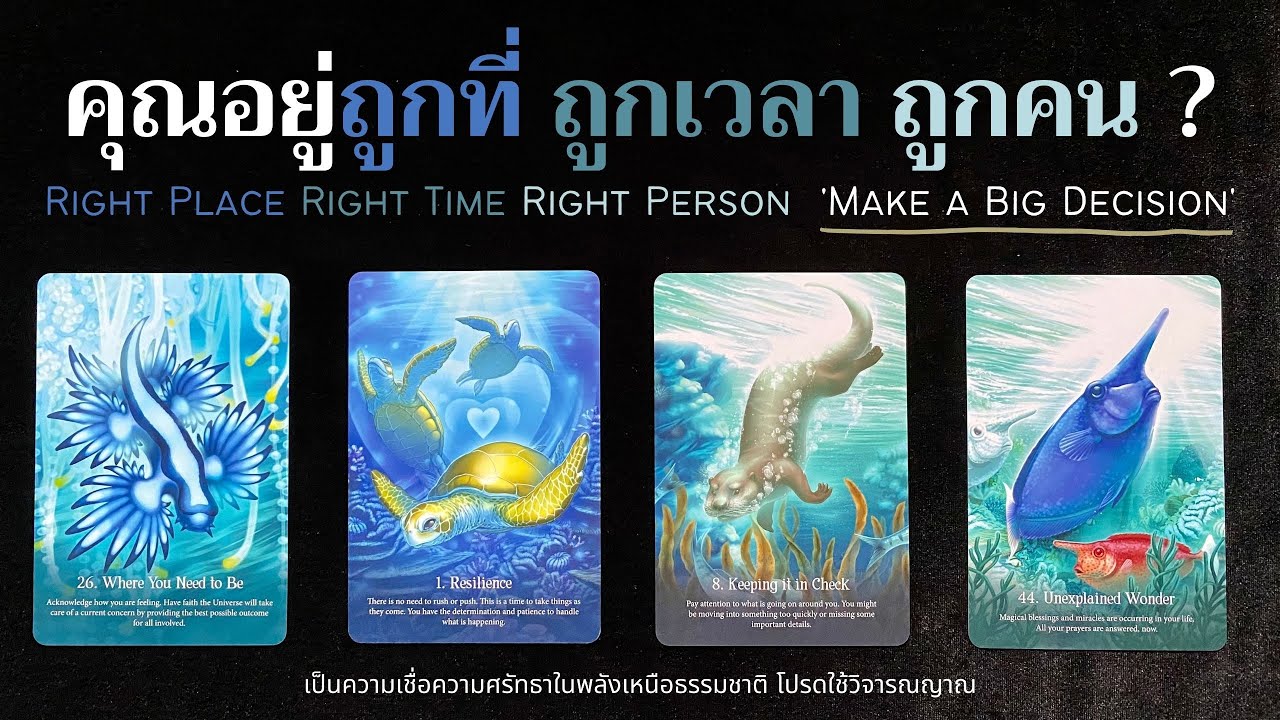คุณอยู่ถูกที่ ถูกเวลา ถูกคน ? ✨🪸🐠🐙✨| Pick a card