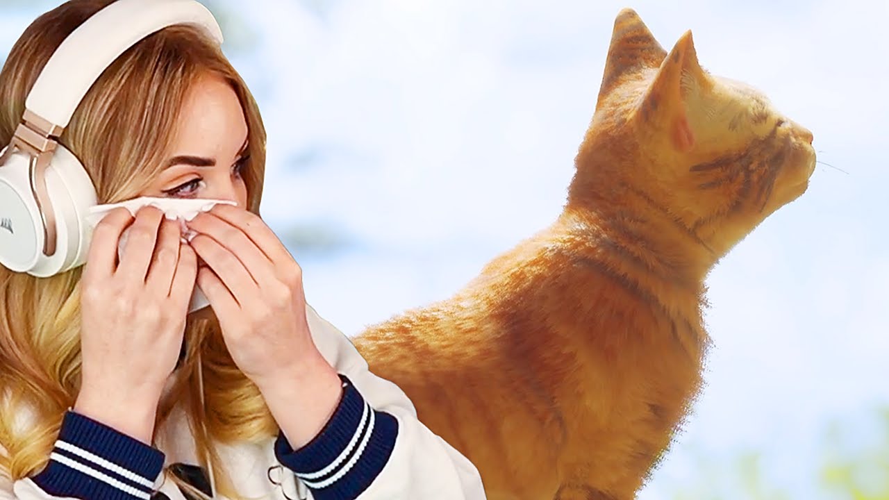 I love cats - Stray highlights (Ending)