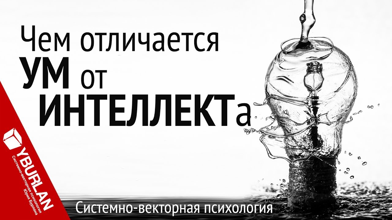 Чем отличается ум от интеллекта. Системно-векторная психология. Юрий Бурлан
