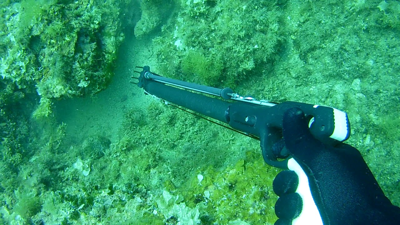 Pescasub: Pesca in tana.....La mia Passione !!!!  Spearfishing