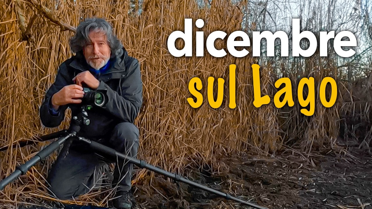 Dicembre sul lago, dall'ora d'oro a buio