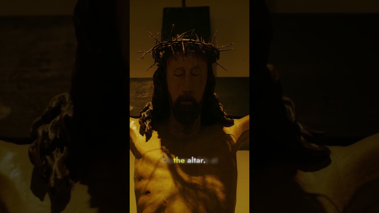 The Profound Meaning Behind the Catholic Mass: Fr. Mark Beard's Insightful Homily
