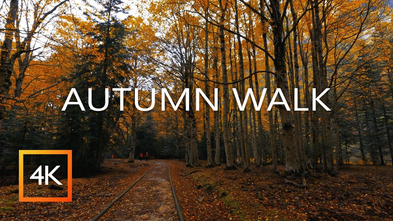 🍂 Autumn Walk 🍁 in Ordesa National Park 🏔 4K | Binaural Audio 💦 (Forest Sounds)