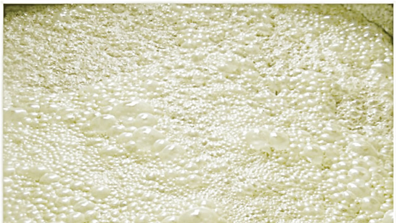 Curso Produção de Cachaça Orgânica - Fermentação - Cursos CPT