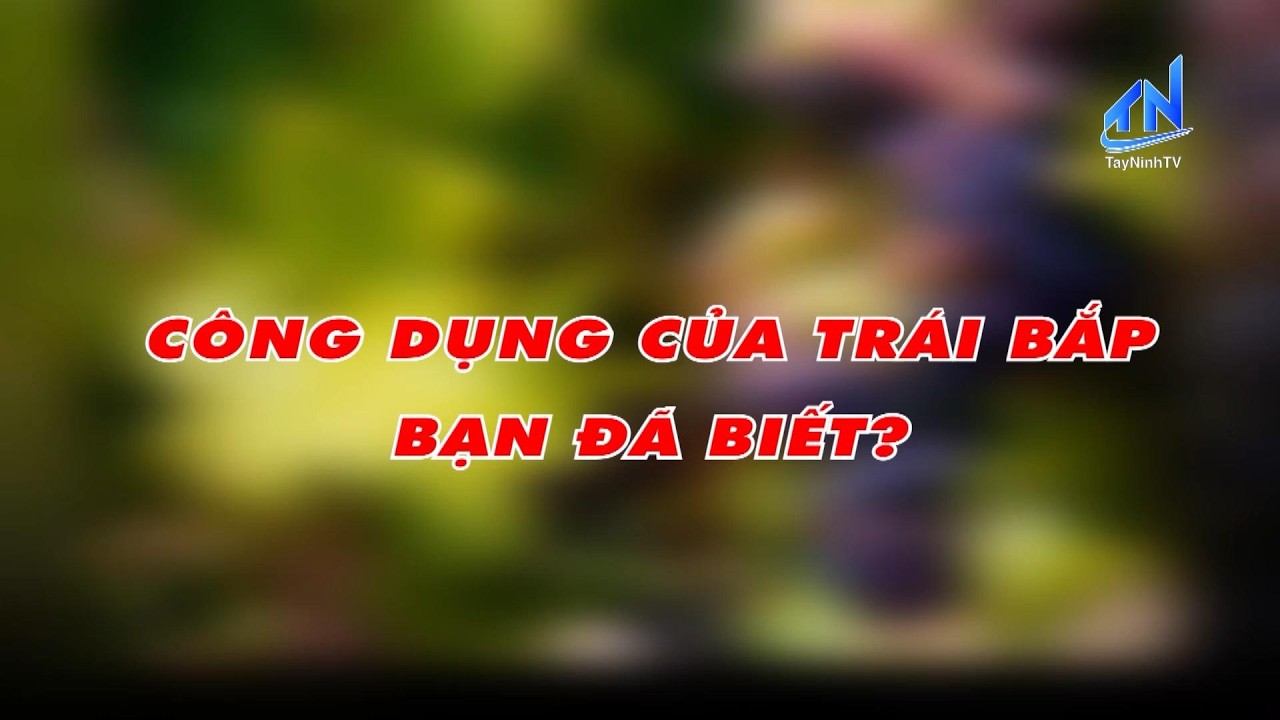 Công dụng của trái bắp- bạn đã biết?