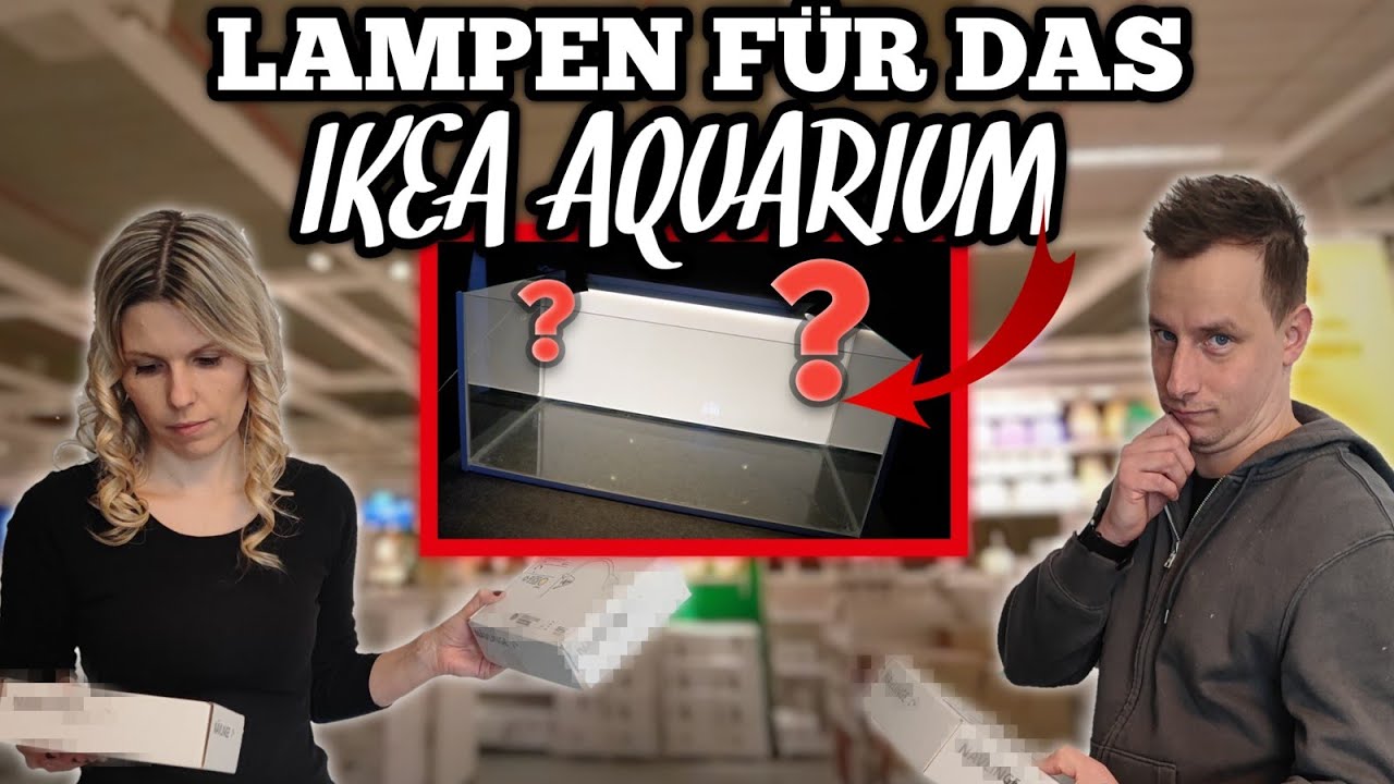 Lampen aussuchen für IKEA AQUARIUM + Wie geht´s weiter mit dem Projekt