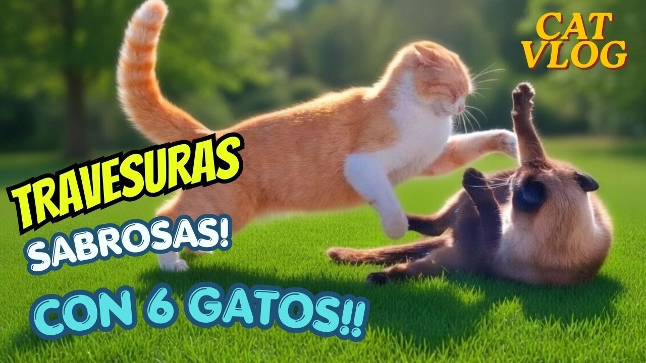UN DÍA DE LOCOS: ¡Incendio, una michi huelga, bascula, garritas, peleas y gatos rebeldes! 🙀🔥CAT VLOG