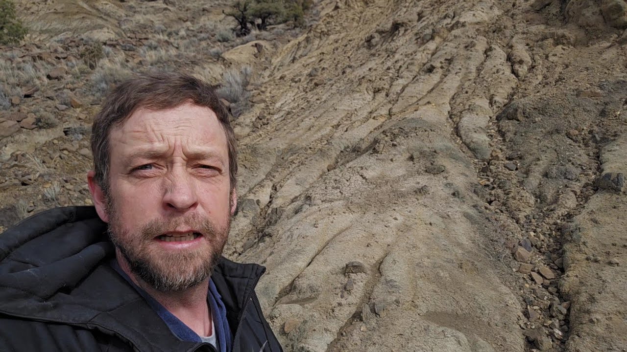 Alien Landscapes, New Petrified Wood And Agate Deposits Found Rockhounding Central Oregon
