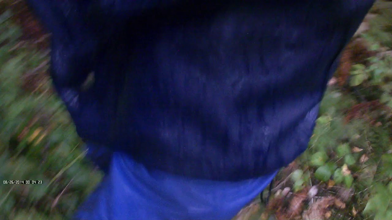 Kuravideo3