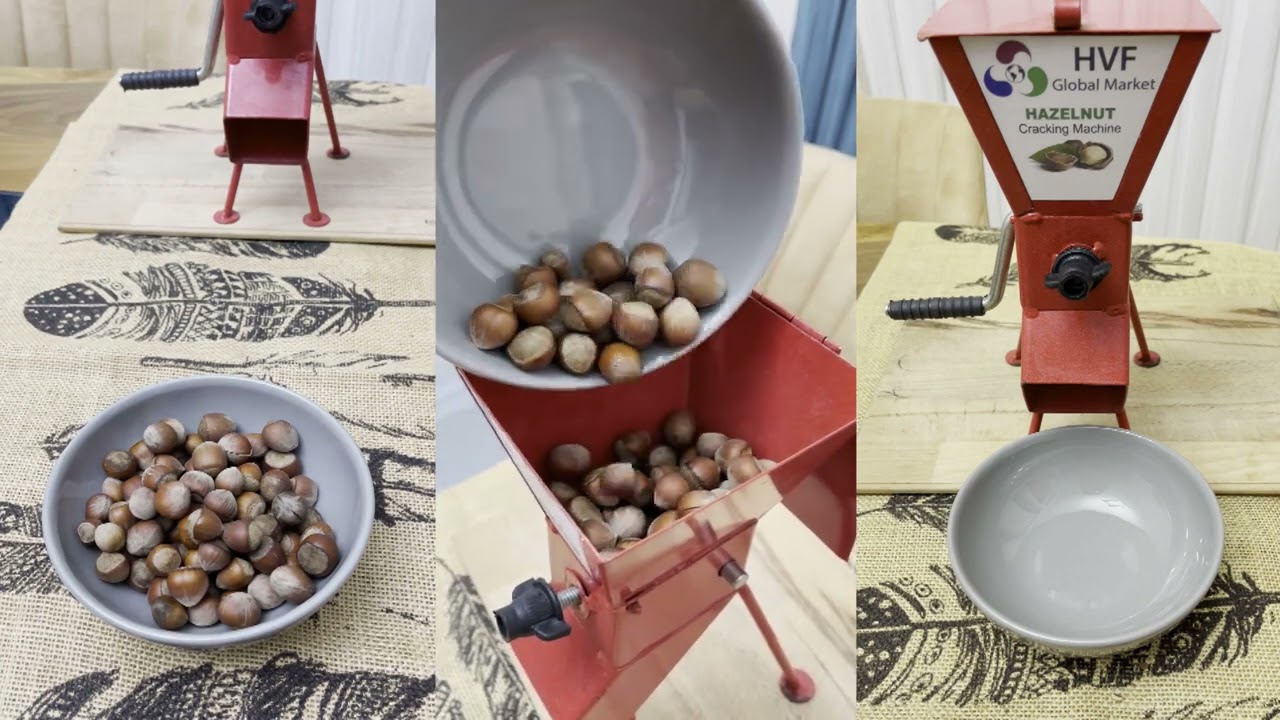 HAZELNUT CRACKING MACHINE - HVF GLOBAL MARKET