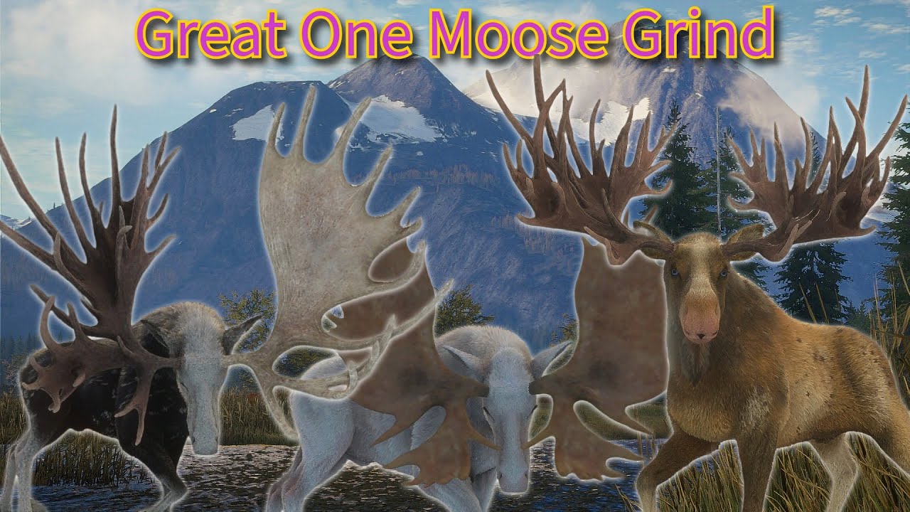 Great One Moose Grind with Extreme Herd Management | theHunter COTW