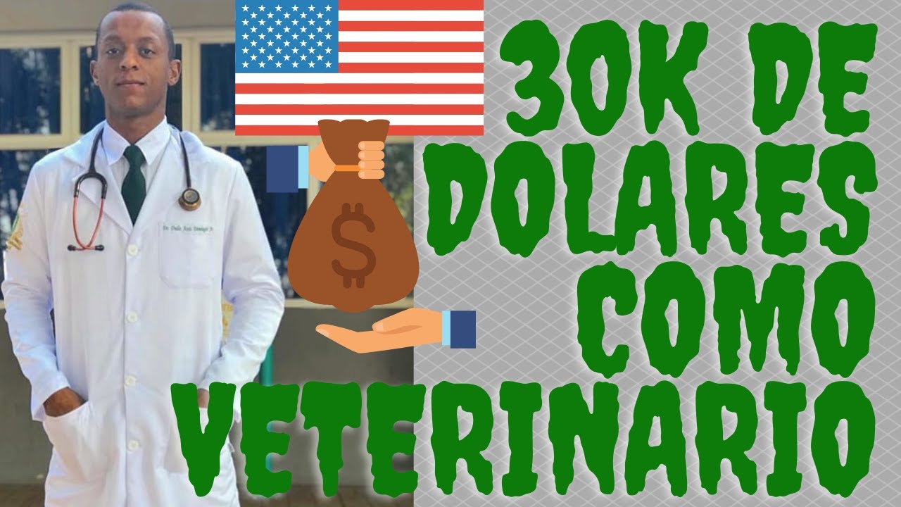 Quanto ganha um Médico Veterinário nos Estados Unidos.