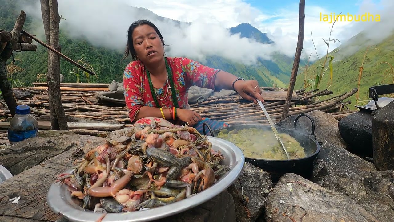 this is the life of himalayan people || lajimbudha ||