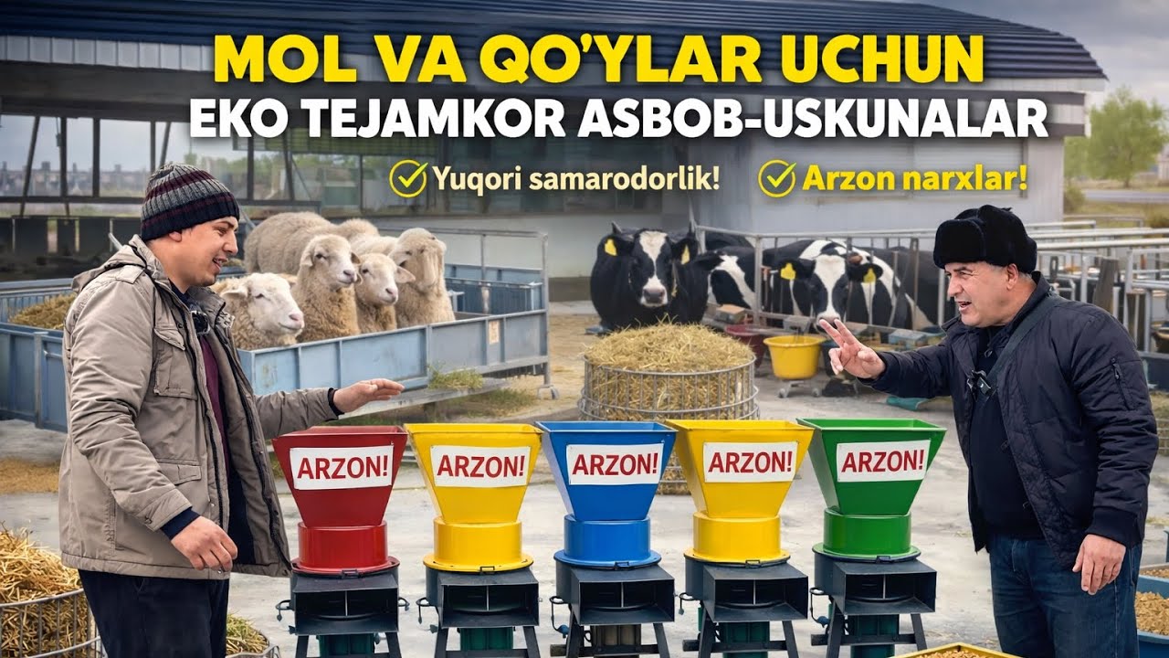 ЧОРВА БАРАКА! ЮКОРИ САМАРАДОРЛИК! 943076573☎️ 937989850☎️