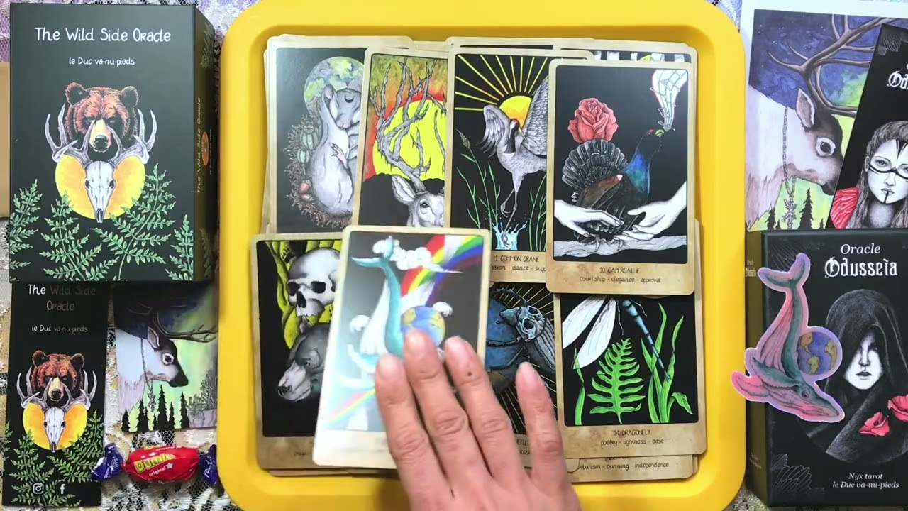 AKU395 - Day 388 #kickstarter #unboxing The Wild Side Oracle Deck #walkthru #flipthroughvideo #unbox
