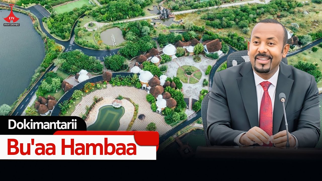 Bu'aa Hambaa etv |Ebc |Etv Afaan Oromoo|