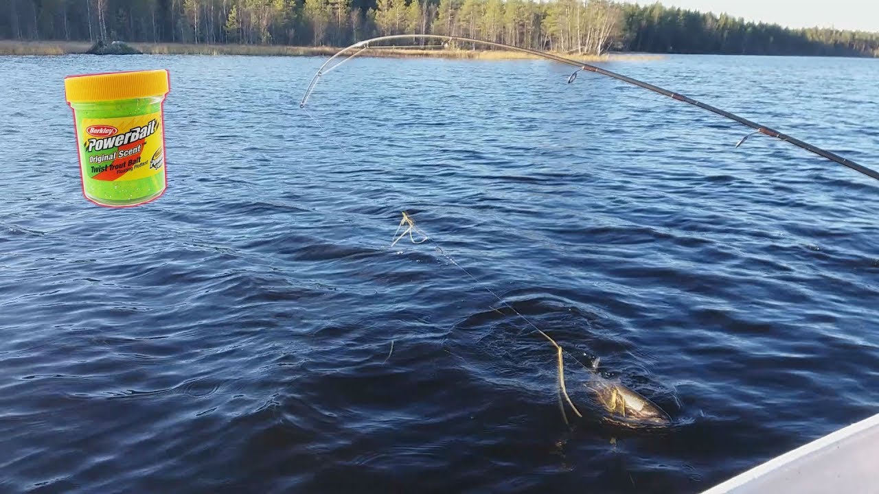 TROUT FISHING  / RAINBOW TROUT / Finland / ( Berkley PowerBait) Recommend!!