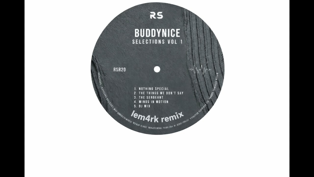 Buddynice - The Things We Don't Say (lem4rk remix)