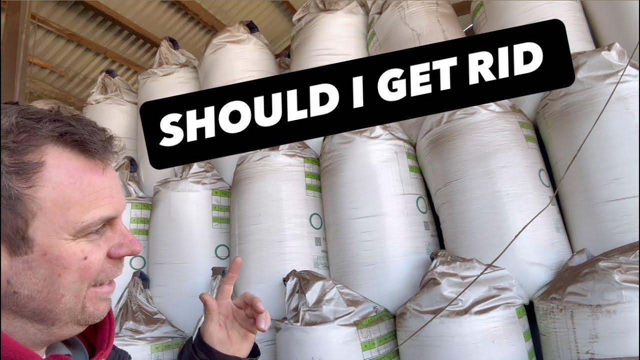  SHOULD I SEND MY FERTILISER BACK ? #AnswerAsAPercent 2182 