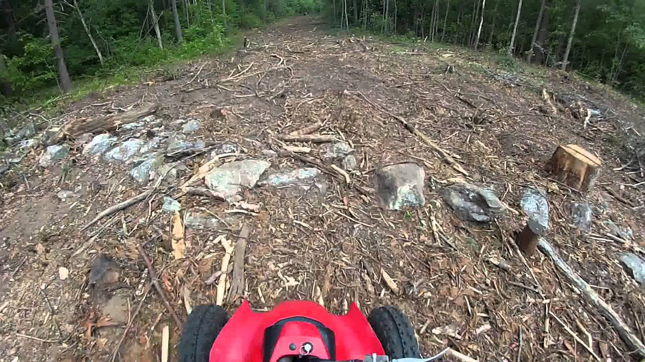 2000 Honda 400EX Being Trail Naughty Warning Keep Out!!