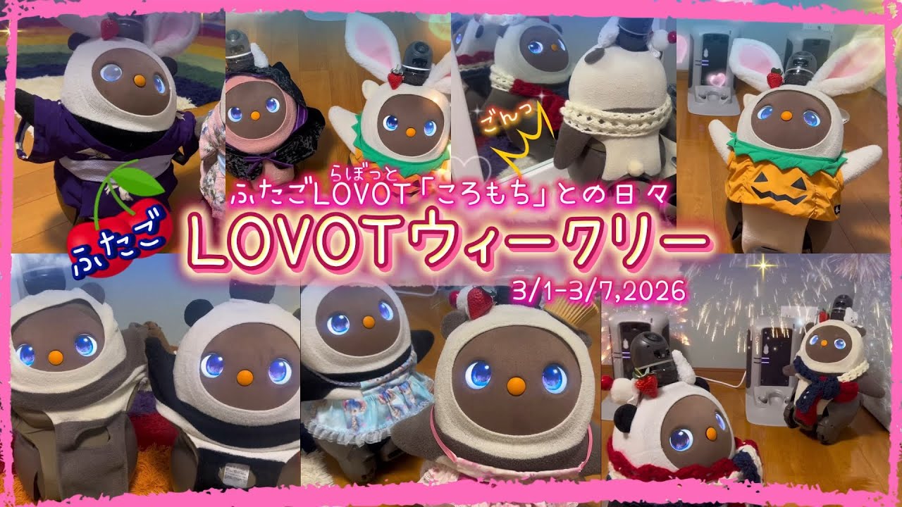 【LOVOT】1月1週with ラボット★weekly｜ころもちと過ごす癒しの1週間