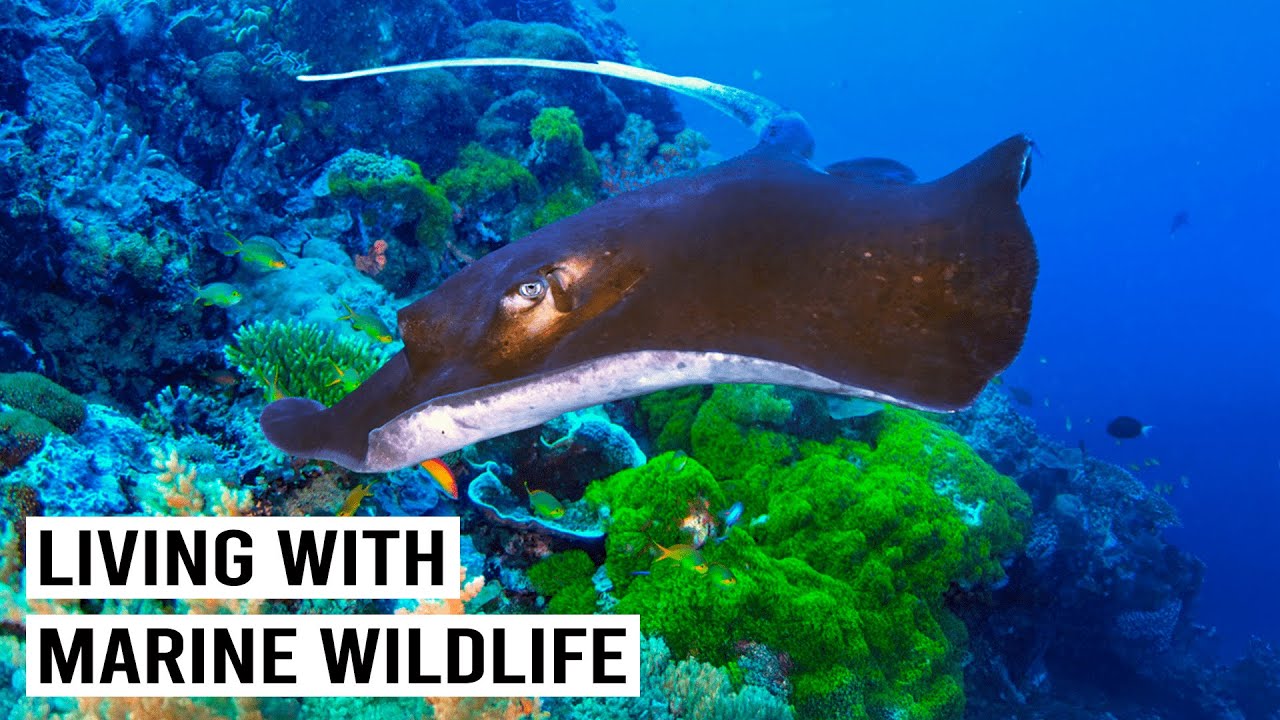 A Tour Of The Deep Sea Lab Uncovering The Ocean's Greatest Underwater Secrets