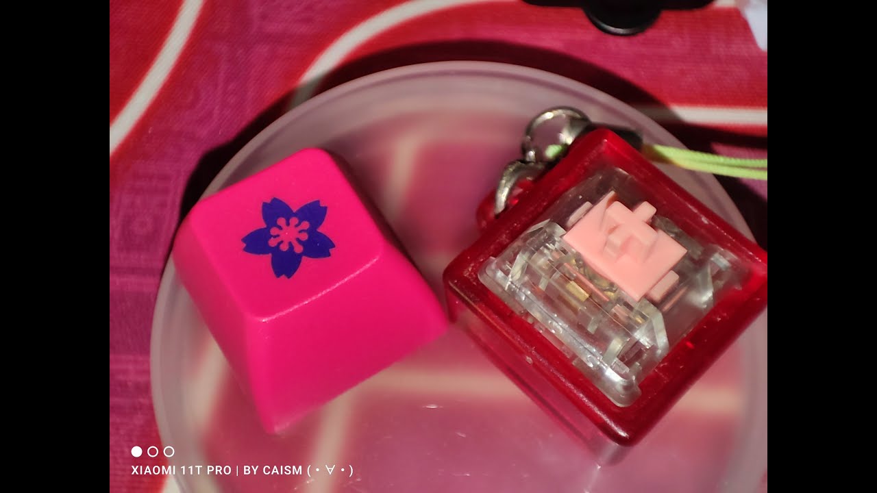 [CaiSm隨緣開軸] 湯姆 冰稜粉軸介紹及拆解 (類?靜音線性軸)