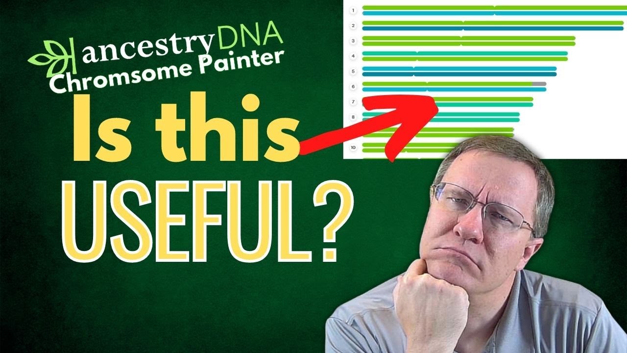 Хромосомный художник Ancestry: отражает ли он реальность?