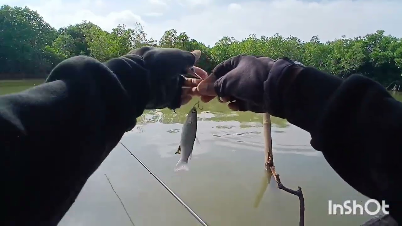 Mancing blanak di deling sayung 