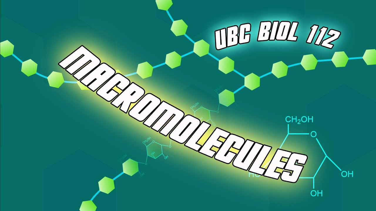 Introduction to Macromolecules - Biol 112 at UBC