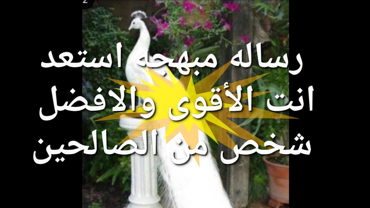استعد واستقبل انت الأقوى والافضل شخص من الصالحين