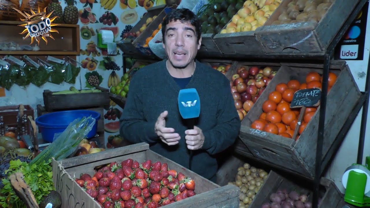 Todo Uruguay | Cultivo de frutillas en Paysand&uacute;