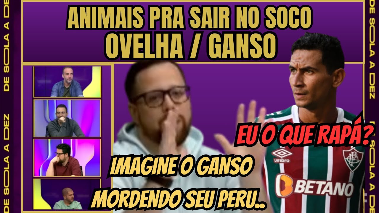 ANIMAIS PRA SAIR NO SOCO - OVELHA E GANSO