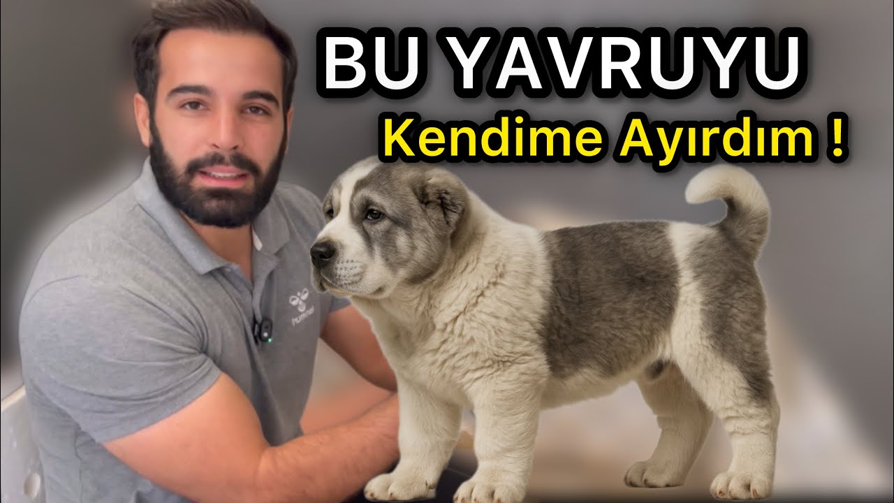 SİZCE BU YAVRUYU KENDİME AYIRAYIM MI ?