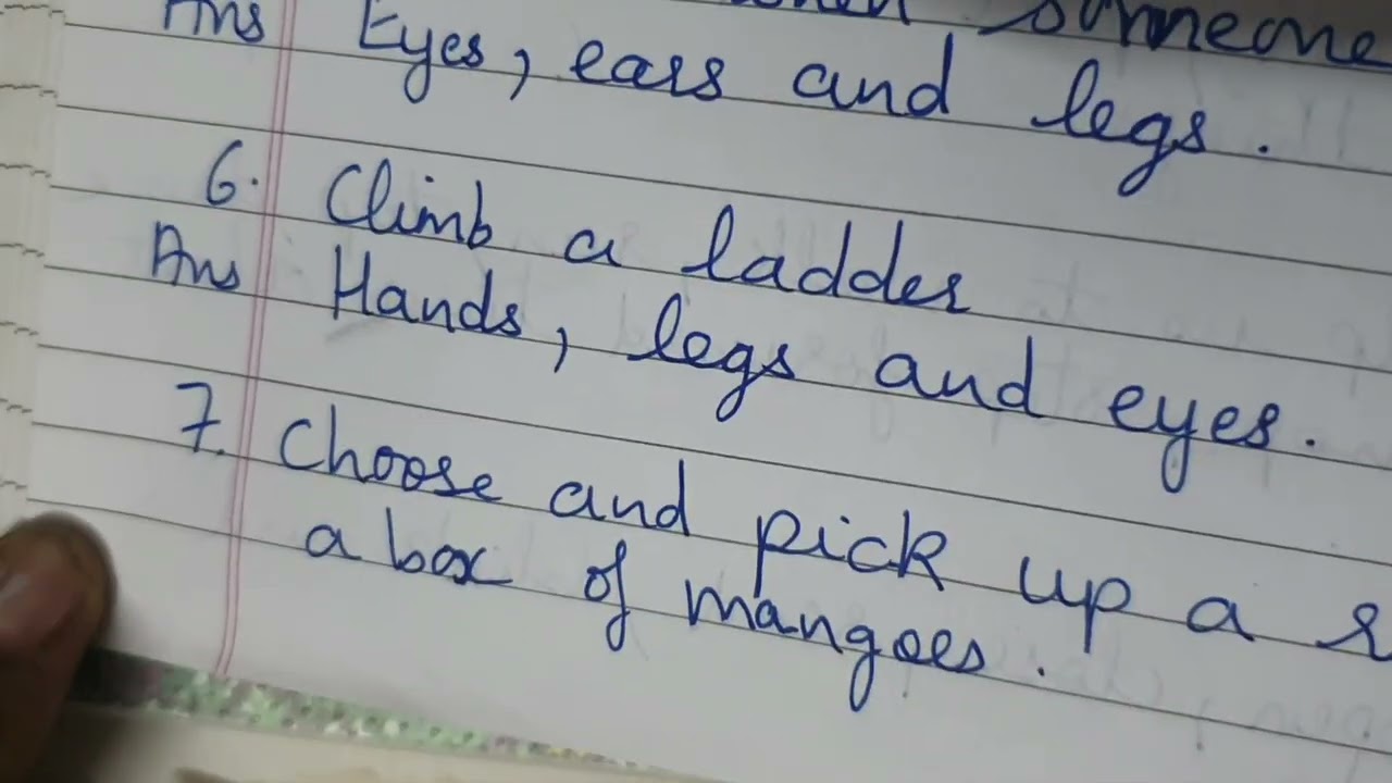 3rd std English 