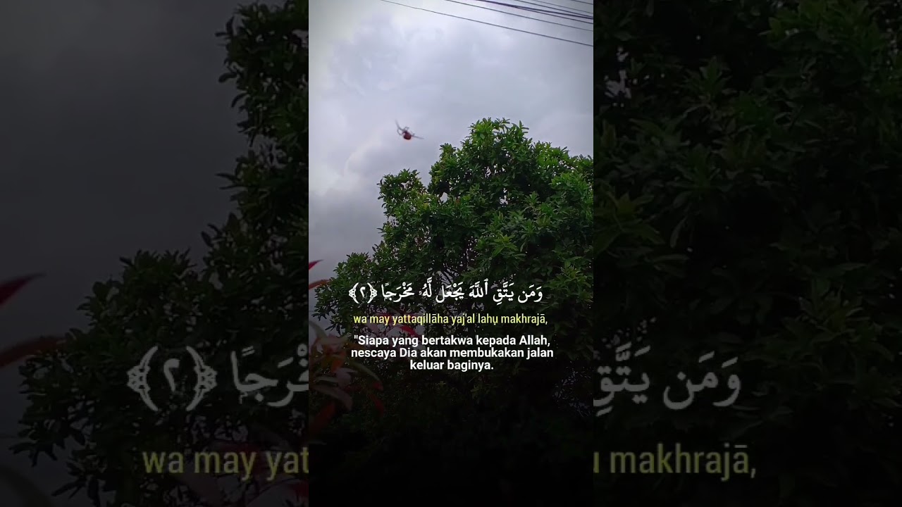 Surah 1000 Dinar | Janji Rezeki & Jalan Keluar dari Allah