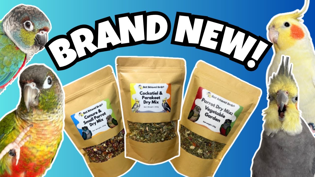 WE LAUNCHED OUR PARROT FOOD RANGE 🦜 with Best Behaved Birds | BirdNerdSophie