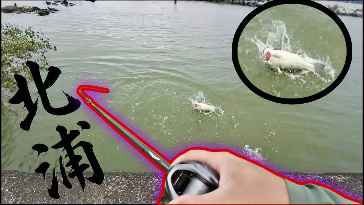 【北浦】晩秋の北浦を攻略せよ！【霞ヶ浦水系】